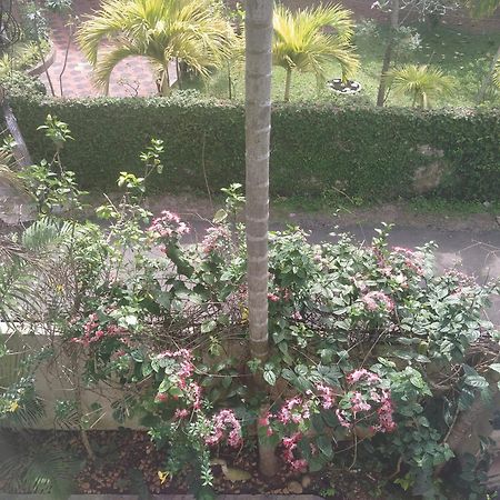 Paradise Inn Guest House Alappuzha ภายนอก รูปภาพ