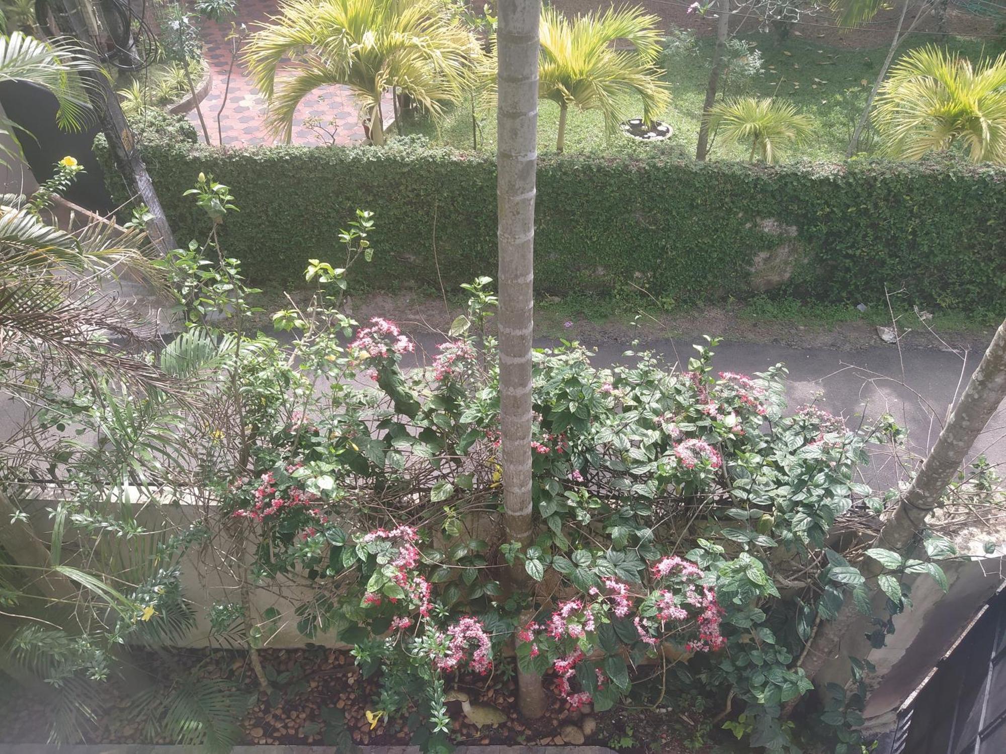 Paradise Inn Guest House Alappuzha ภายนอก รูปภาพ